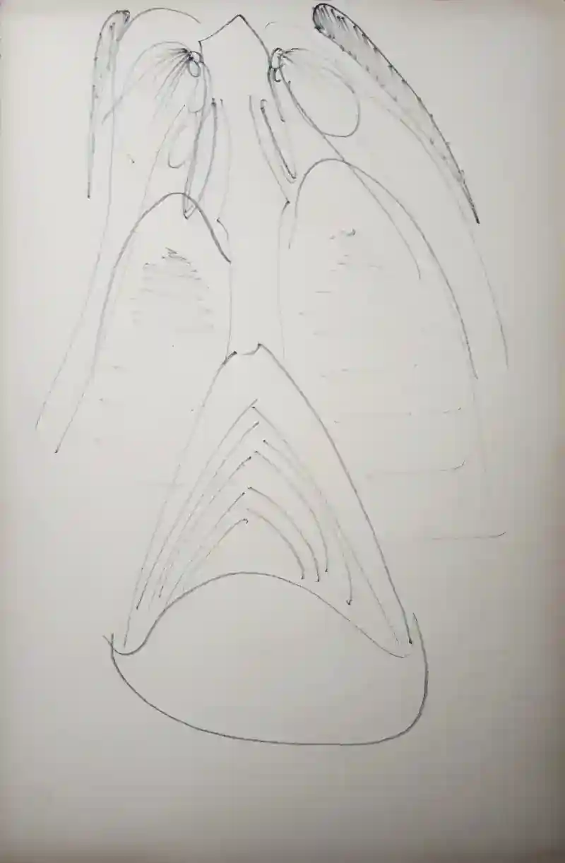 inscription 3fe8d2e12a59e6a07e039eaa9ece625f9e5d12894409cb32a9a68318e23bc968i16