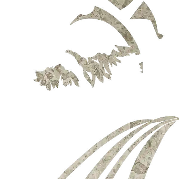 inscription 5e8b1367f1b8a3378372a7201cfe2cf8f8c0d8399557c3414456b345122623ffi0
