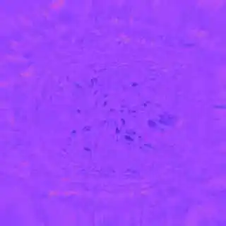 inscription bf60284a1725d722ce0ab1f1113d99190a07e0f7b52f5fd936f14fd1db1dd919i0