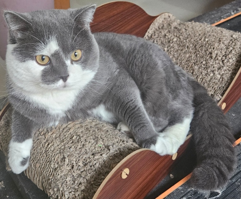 inscription dd4609158ba05c4dd8c04b6ac192b8bd311aace617d9f1f08c90c83a21ff5b9ci0